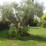 La Gioiosa فندق مبيت وإفطار 4*