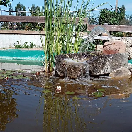 La Gioiosa Bed & Breakfast