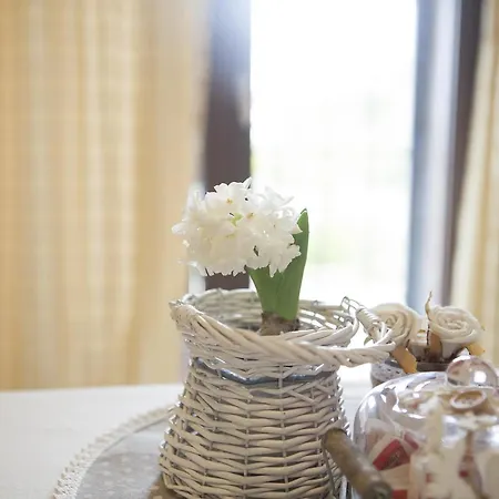 拉基奥伊奥萨住宿加早餐旅馆 4*