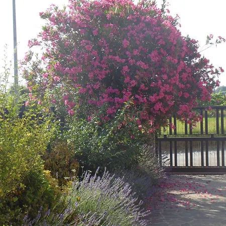 拉基奥伊奥萨住宿加早餐旅馆 4* 阿西西