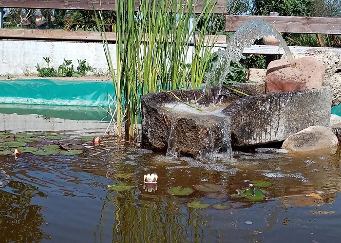 La Gioiosa Bed & Breakfast