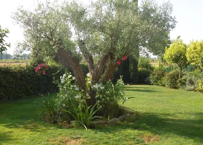 La Gioiosa Bed & Breakfast 4*