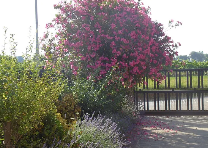 La Gioiosa 4* Assisi